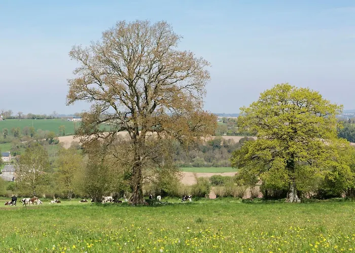 Holiday Home And Mobile Home With Spacious Garden Holiday home Gouvets